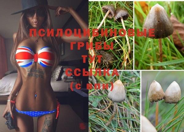 ГАЛЛЮЦИНОГЕННЫЕ ГРИБЫ Алексеевка