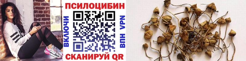 Галлюциногенные грибы Cubensis  Миньяр 